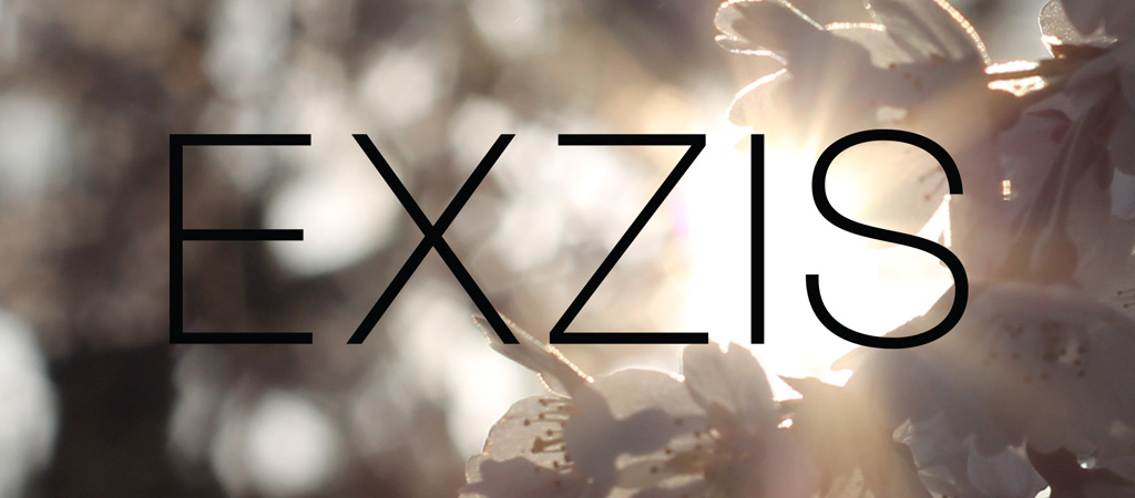 Exzis Logotype